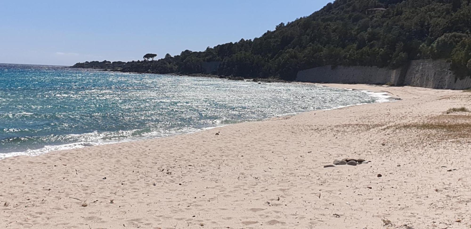 Auberge De Cannedda Sari Solenzara Szoba fotó