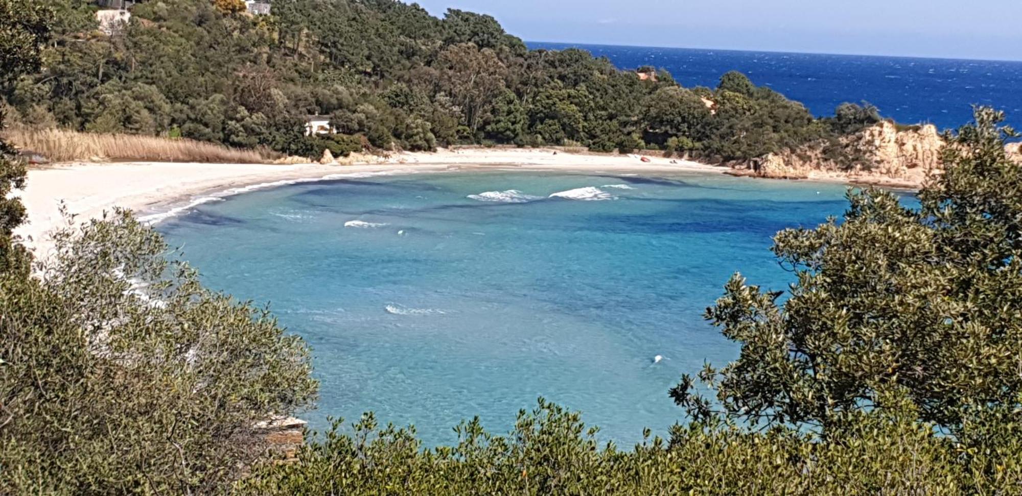 Auberge De Cannedda Sari Solenzara Szoba fotó